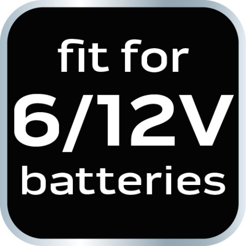 Prostownik automatyczny 10A/160W, 3-200Ah