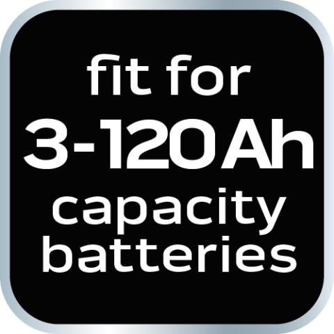 Prostownik automatyczny 10A/160W, 3-200Ah