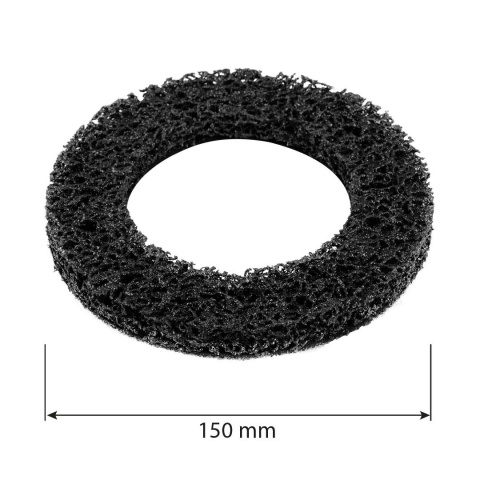 Ściernica wymienna do czyszczenia