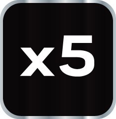 ZESTAW LAKIERNICZY 5 ELEMENTÓW 12-500 NEO