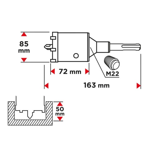 Otwornica widiowa 85