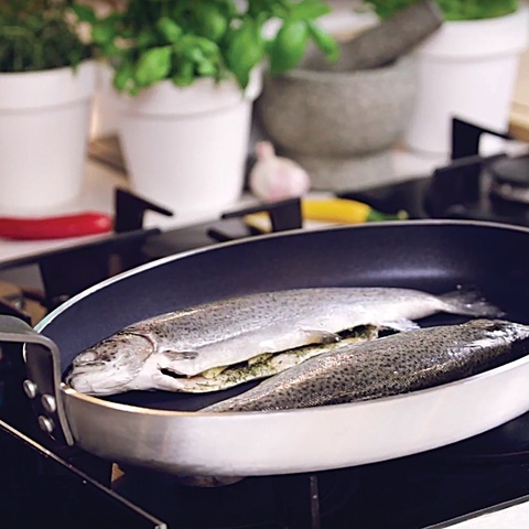 PATELNIA ALU DO RYB PTFE 400x290MM YG-00155 YATO