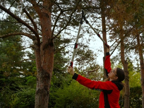 SEKATOR DO GAŁĘZI KOW/PRZEKŁ/TELESK/AL YT-88294 YATO