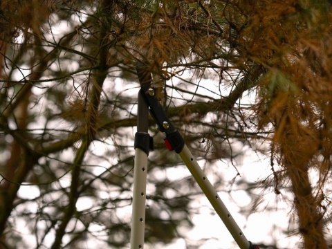 SEKATOR DO GAŁĘZI KOW/PRZEKŁ/TELESK/AL YT-88294 YATO