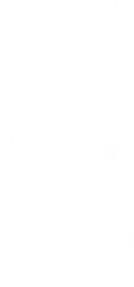 Wkrętak Torx T30 x 100 mm, S2 04-048 NEO