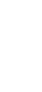 Wkrętak precyzyjny PZ0x40 mm SvCm 04-088 NEO