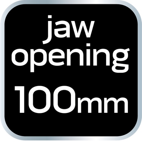 Imadło ślusarskie obrotowe 100 mm, 360stopni